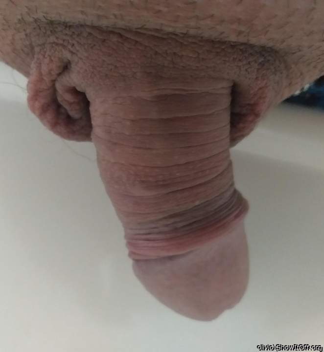 Photo of a middle leg from olivio