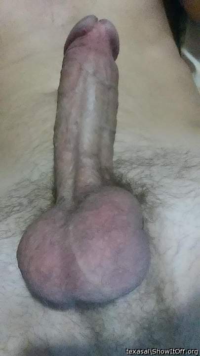 Photo of a dick from texasal