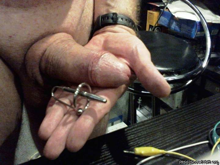 Urethral Plug with glans ring beside my tool