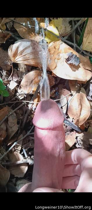 Photo of a penile from Longweiner10