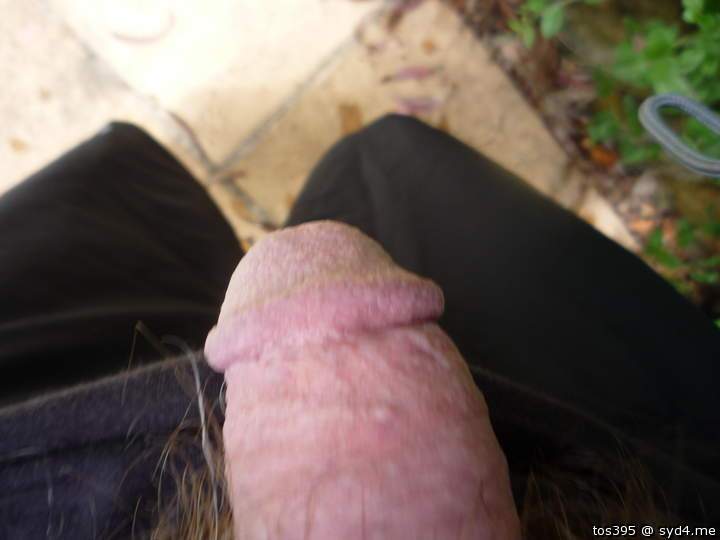 Photo of a cock from tos395