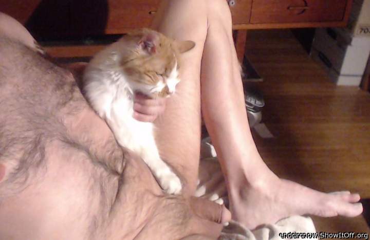 a beautiful shaved cock and a hairy pussy!!! 