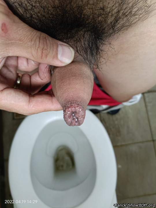 Photo of a dick from alanck