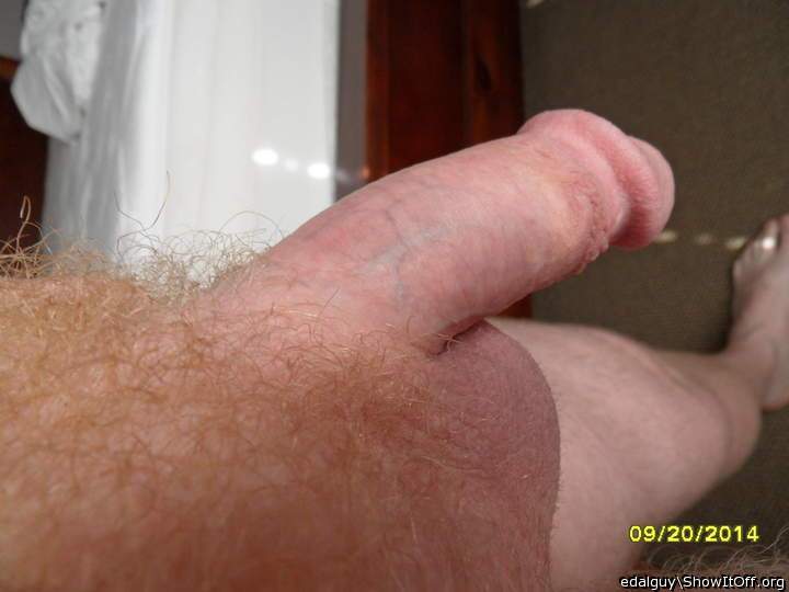 Meaty cock and sack, sexy pubes!