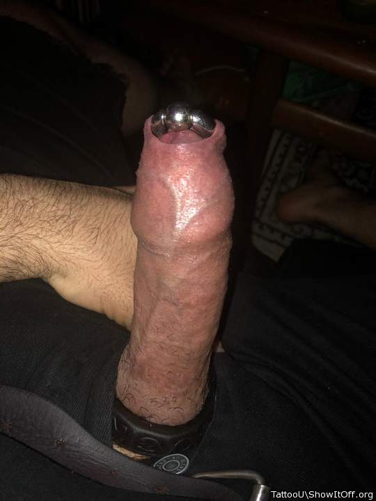 What the massive piercing looks like with my foreskin