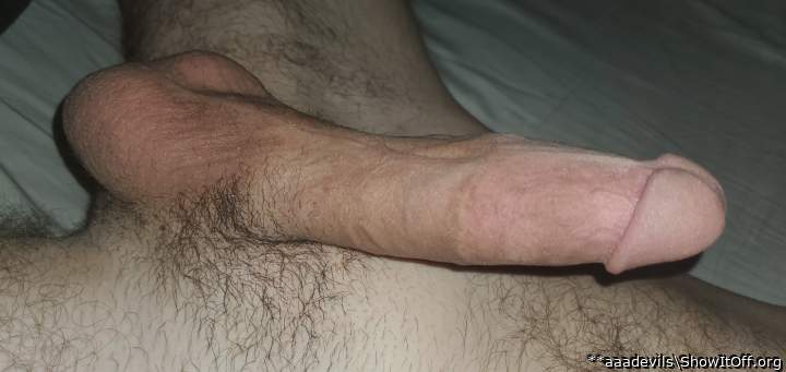 Gorgeous cock and balls Id love to suck you off and swallow