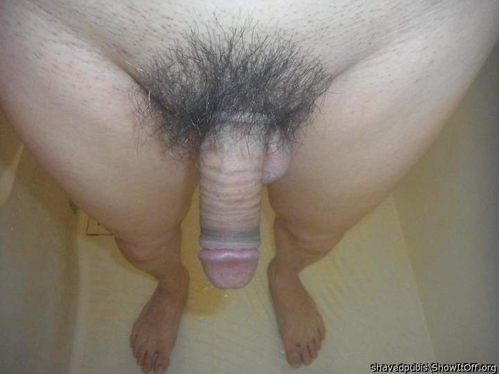 Photo of a pecker from shavedpubis