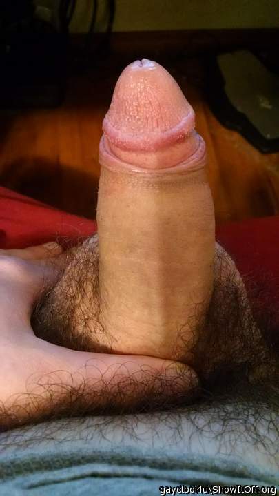 great pic...beautiful hairy dick...