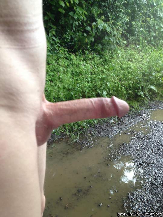 rainy day in Devon
