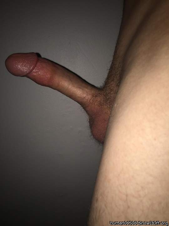 I want everyone to look at my erect penis