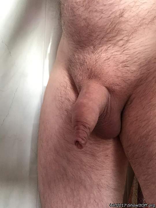 beautiful penis ,very nice foreskin 