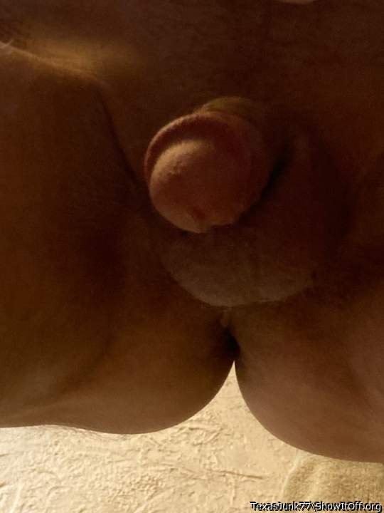 Photo of a penile from TexasJunk77