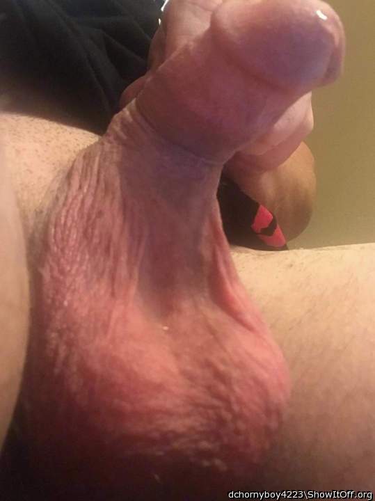 This is the most beautiful cock Ive ever seen