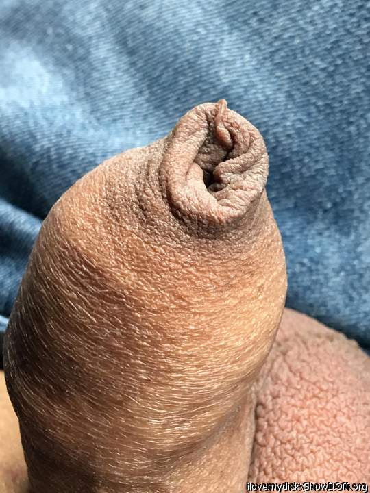 Photo of a cock from ilovemydick