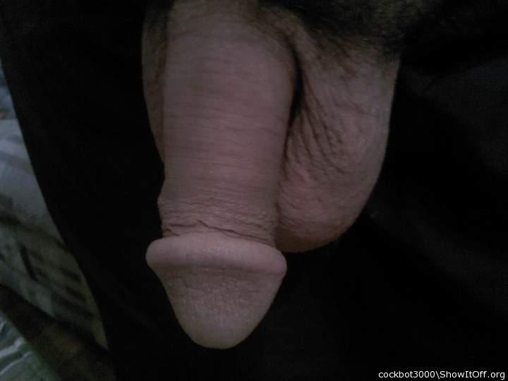 Photo of a penis from cockbot3000
