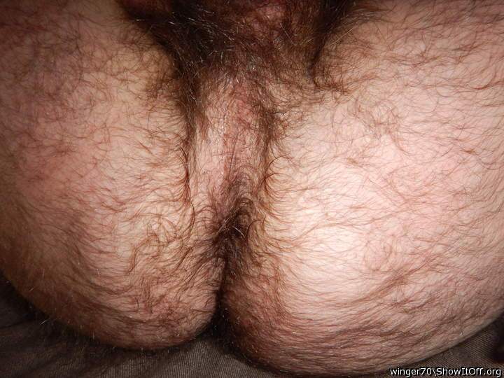 Want to  lick your hairy hole and fuck you with my tongue ! 