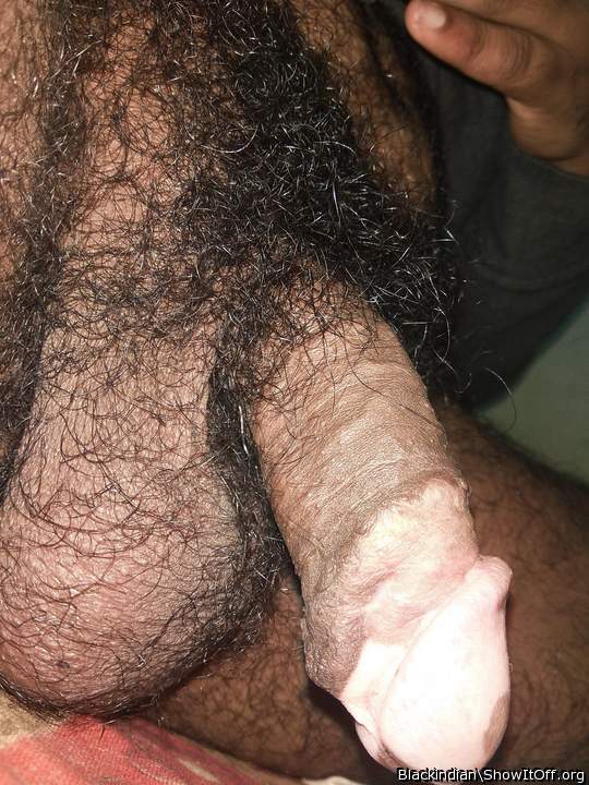 Photo of a dong from BlackIndian