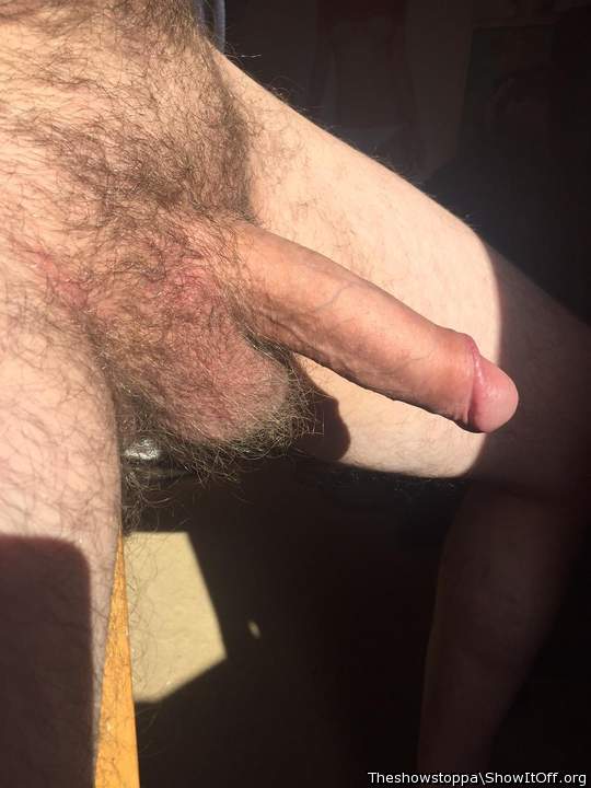 Photo of a boner from Theshowstoppa