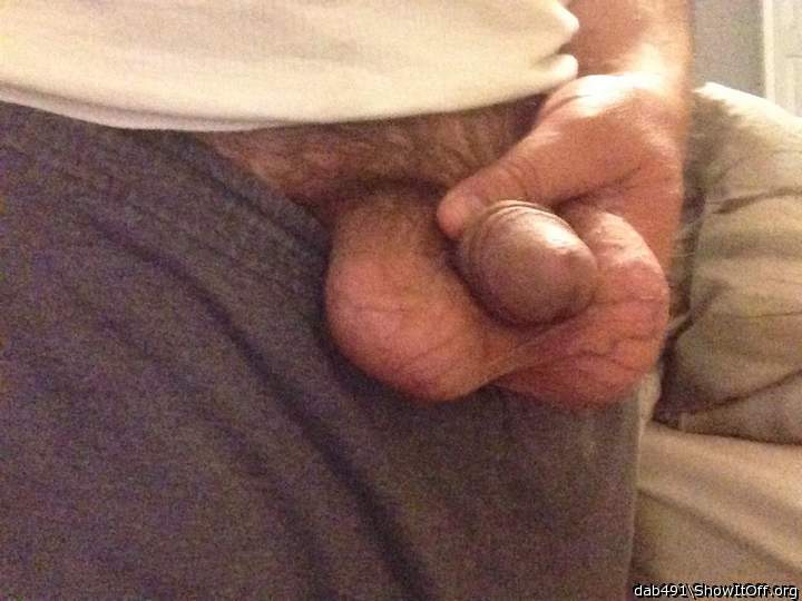 Big balls nice cock 