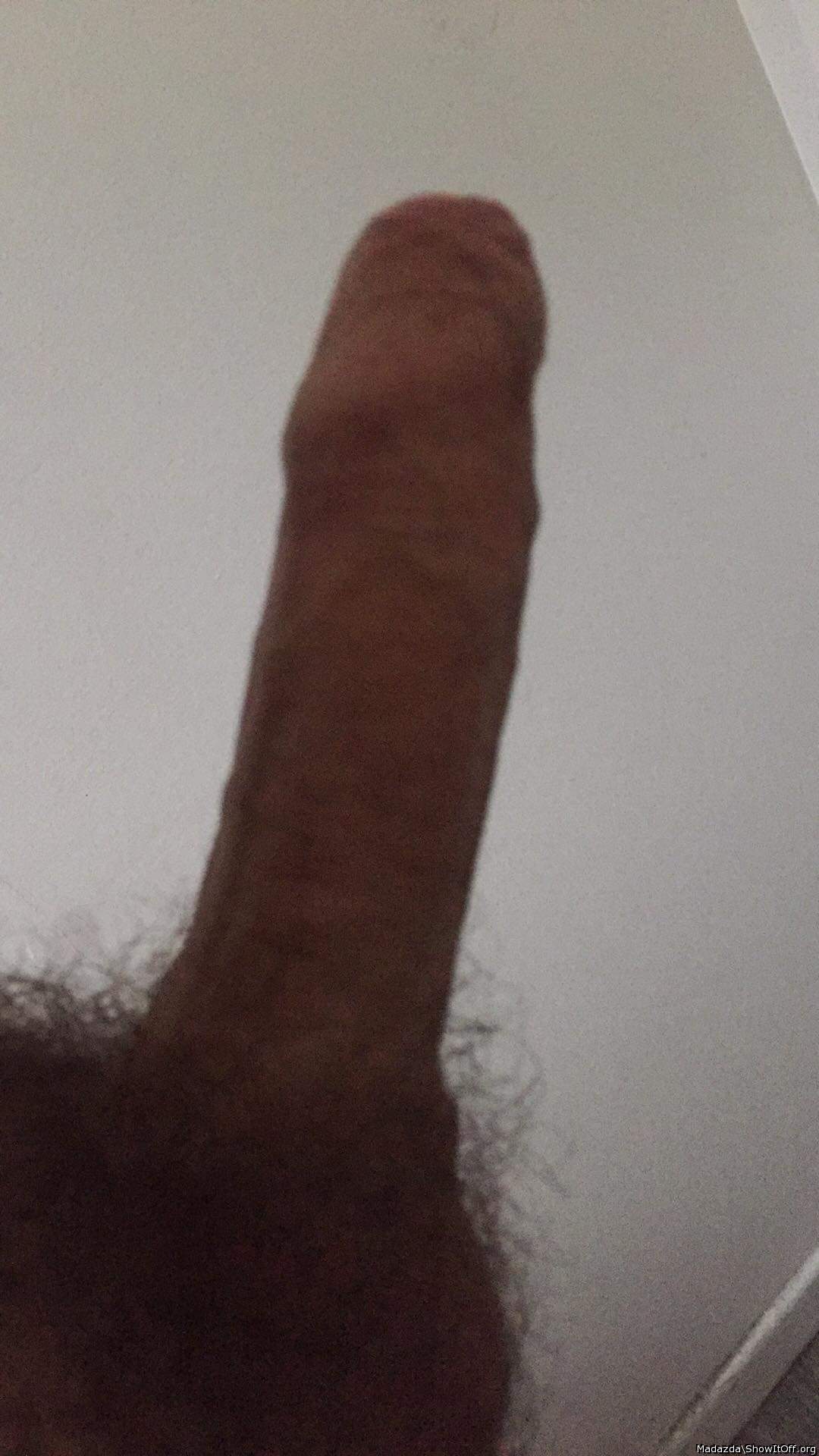 Photo of a boner from Madazda