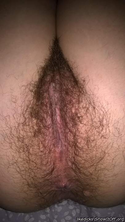 about to lick this hairy pussy
