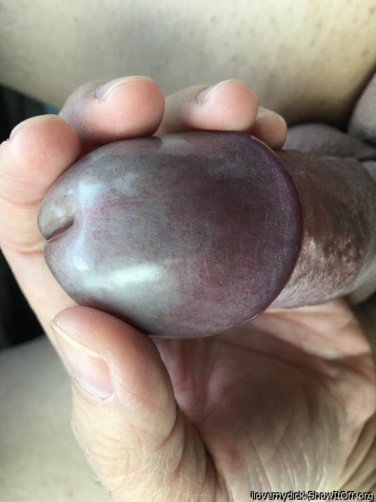 What a beautiful plum !!! 