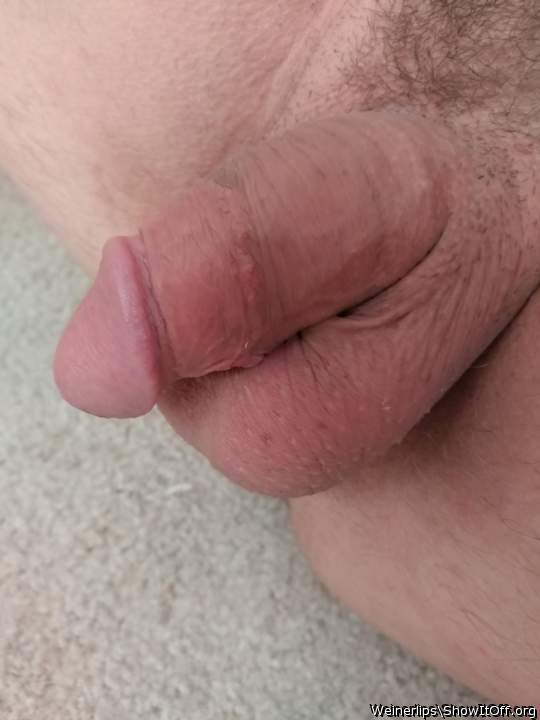 Photo of a dong from weinerlips