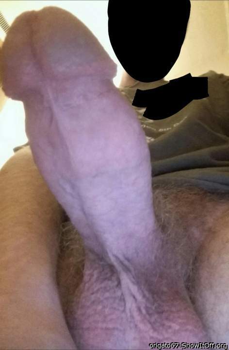 Photo of a boner from Origato67