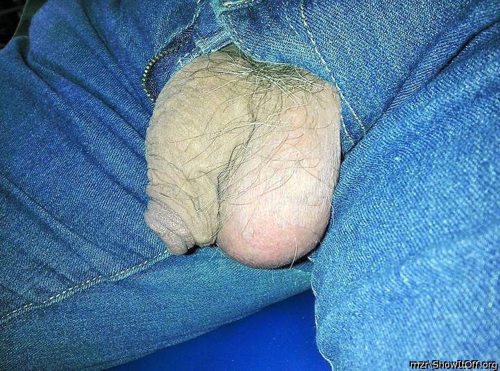 My uncut hairy dick and bold foreskin
