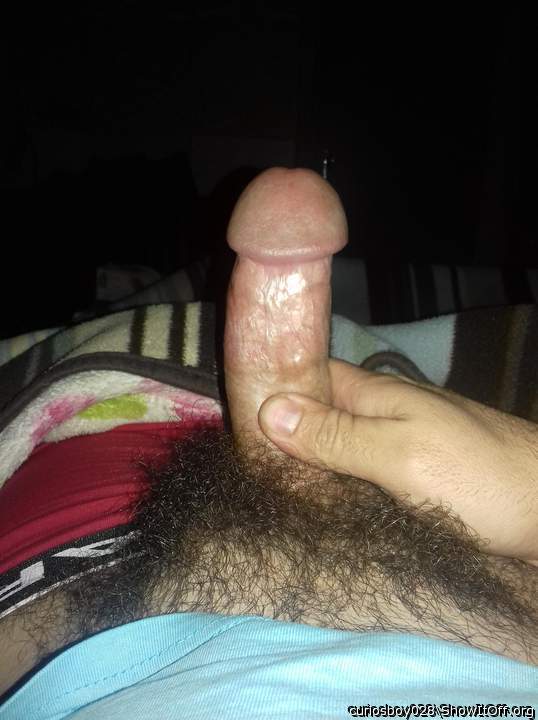 Nice big thick cock, cleanly circumcised with a huge mushroo
