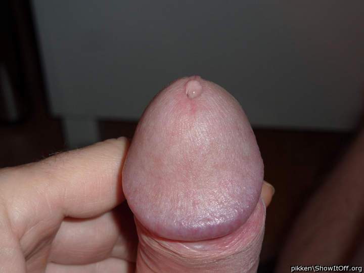 Photo of a meat stick from pikken