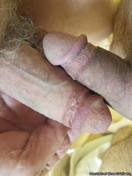 The first and only cock I have sucked