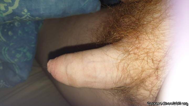Just a lonely cock ;)