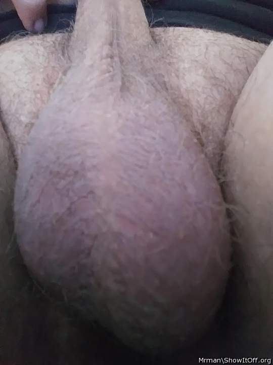 Testicles Photo from MrMan