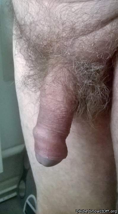I LOVE your pubic hairs and hairy balls....But I especially 
