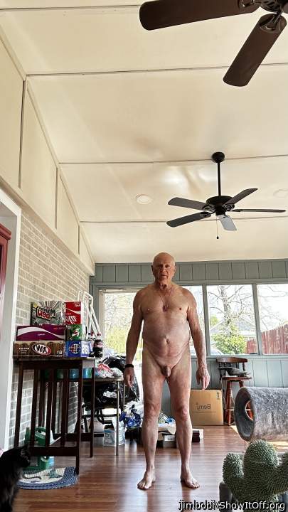 Photo of a sausage from jimbobi