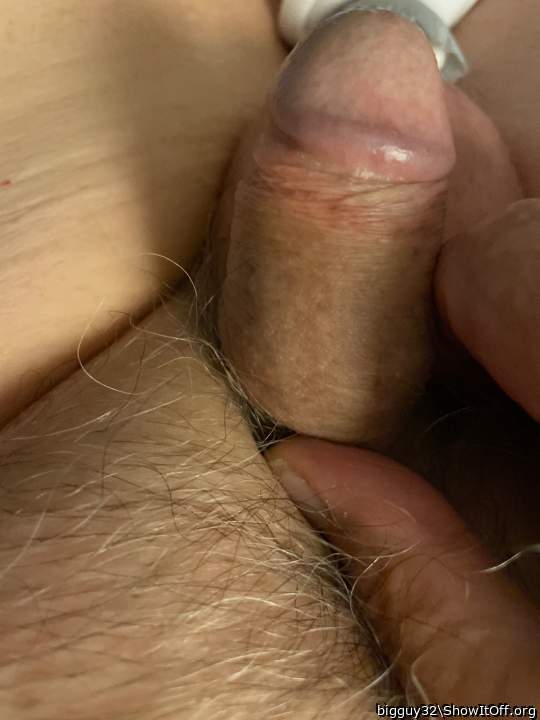 Photo of a snake from bigguy32