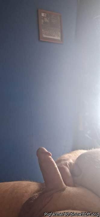 Photo of a hot dog from Pigfarmer80