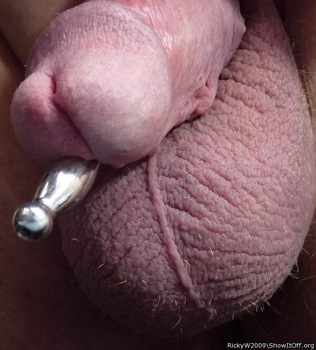 Penis plug in my PA piercing