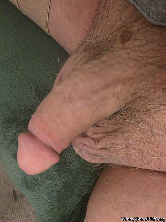 Photo of a horn from Windy