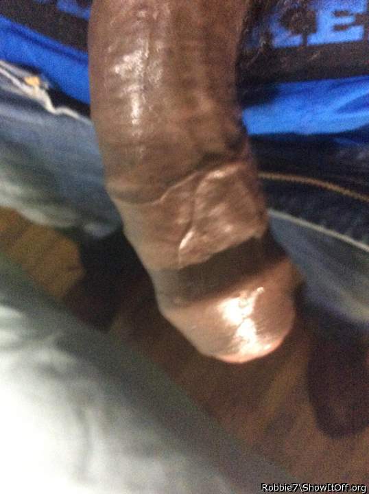Photo of a middle leg from Robbie7