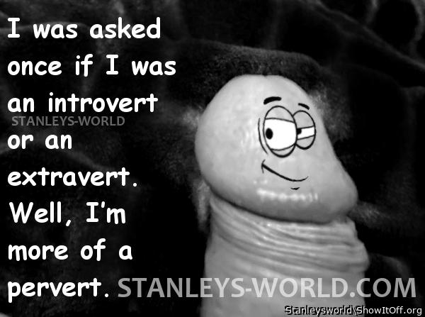 Is Stanley an extrovert