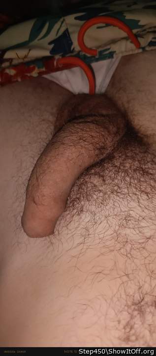 Photo of a pocket rocket from Step450