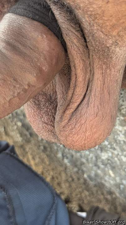 Photo of a horn from Biker