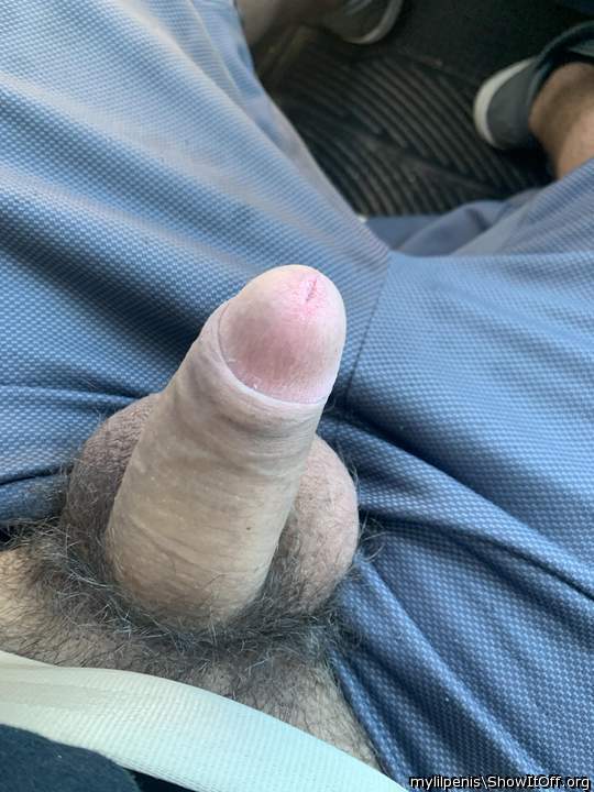 Driving home with my cock out who wants to play;)