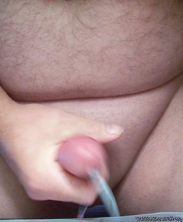 Photo of a wiener from Walddo