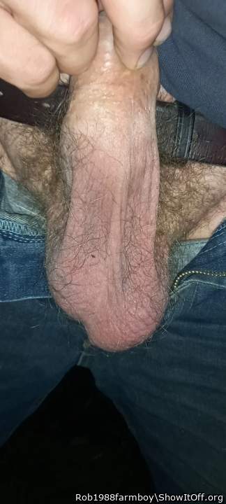 Beautiful hairy sac!  Id love to sniff, lick and possibly s