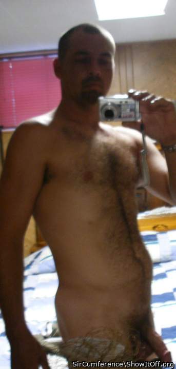 Photo of a bat from SirCumference