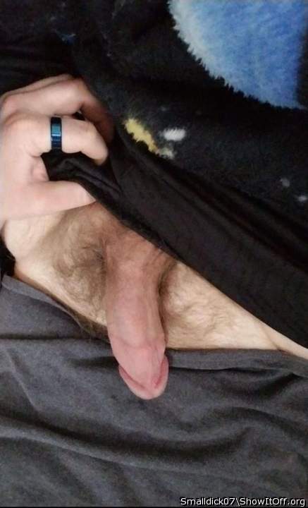 Photo of a middle leg from Smalldick07