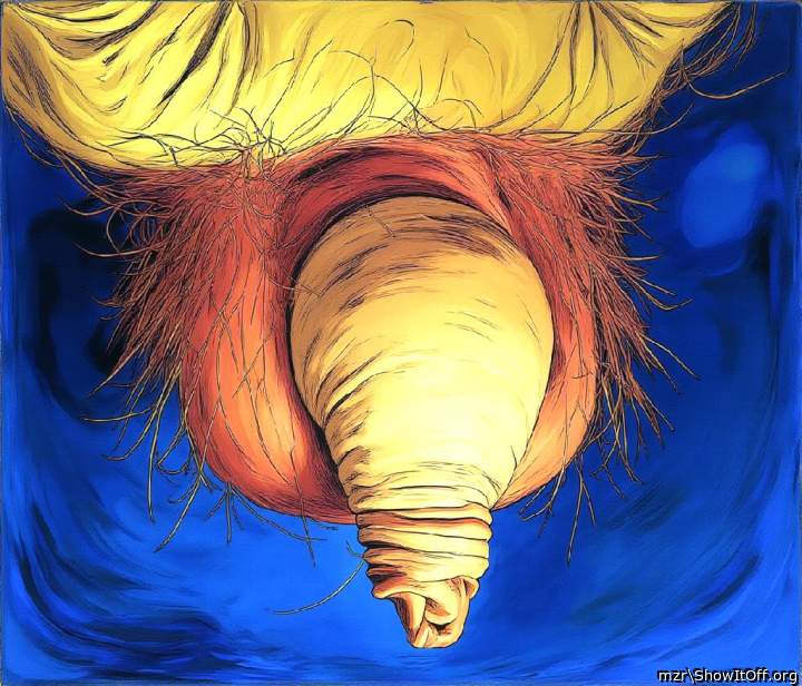 Hairy uncut cock huge foreskin close-up art